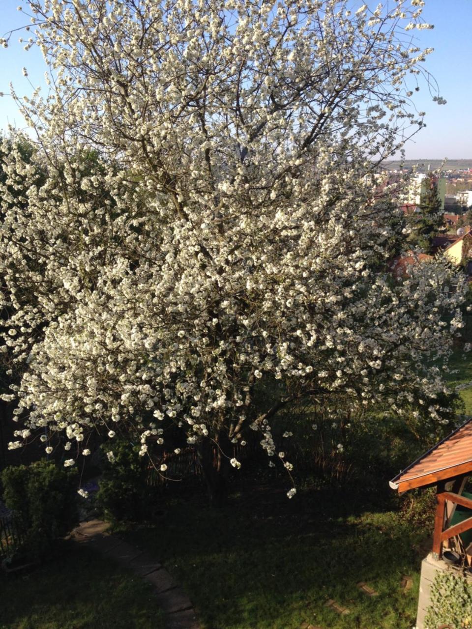 Hungaria Vendeghaz Hotel Eger Exterior photo